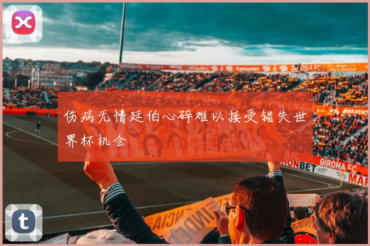 伤病无情廷伯心碎难以接受错失世界杯机会